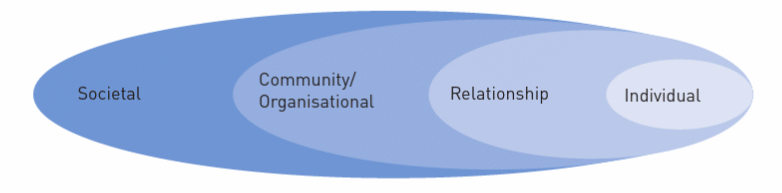 Health promotion primary prevention model indicating societal, community, relationship and individual dimensions
