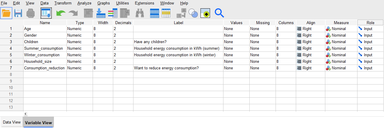 Image of Variable View with variable labels 'Have any children?', 'Household energy consumption in kWh (summer)', 'Household energy consumption in kWh (winter)' and 'Want to reduce energy consumption?'