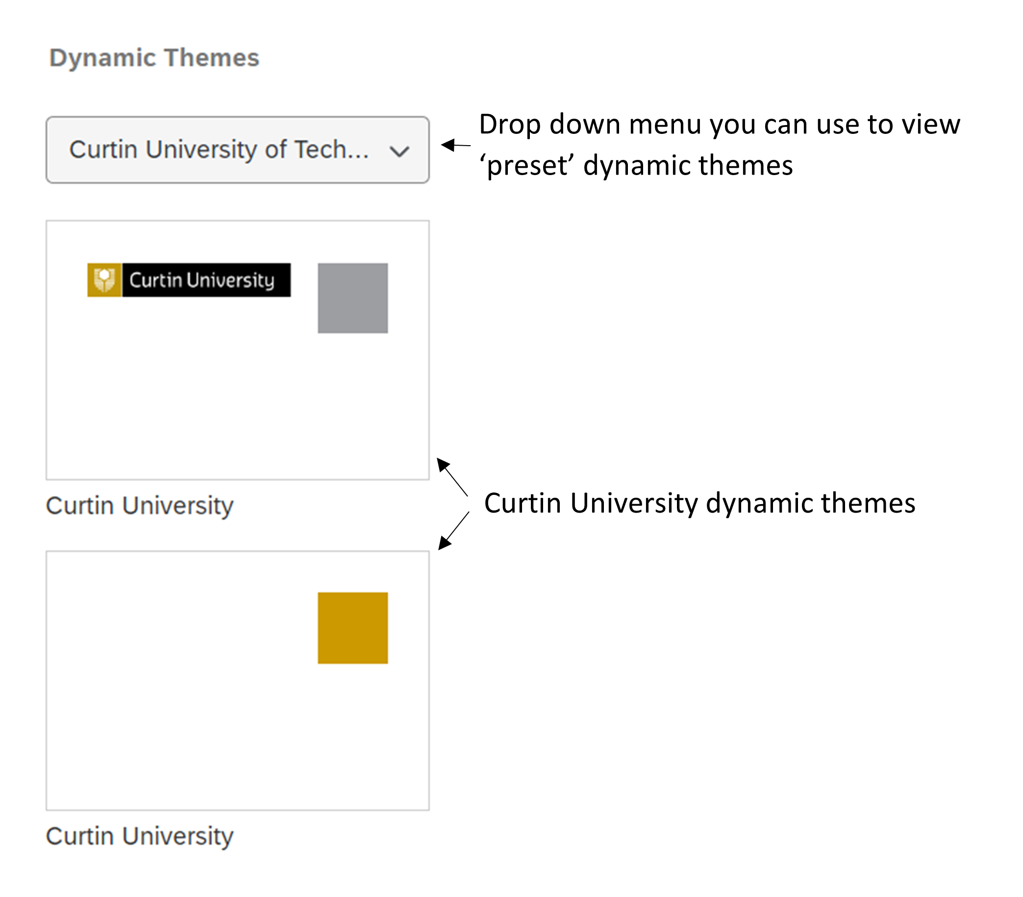 An image of the dynamic themes drop down menu and the two Curtin dynamic themes.