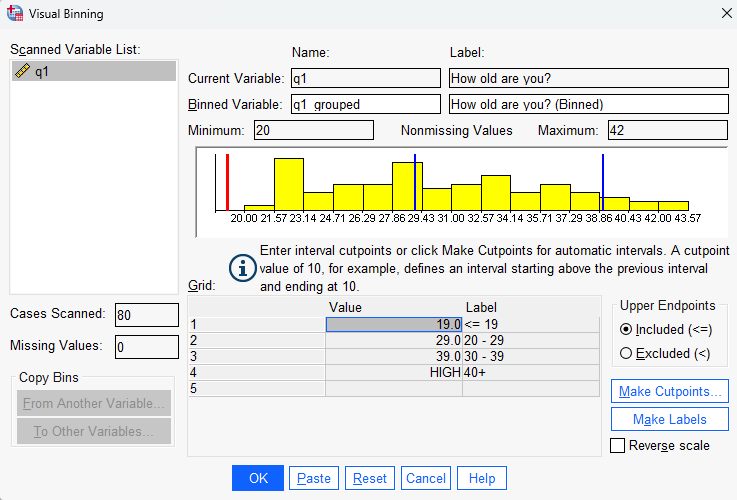 An image showing the Visual Binning pop up window