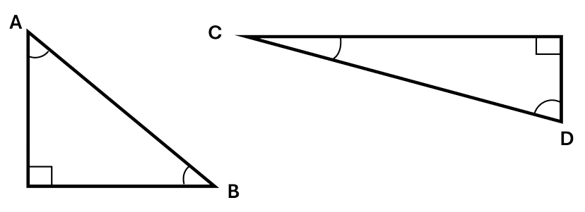 Two triangles, each containing one angle that is ninety degrees. These ninety degree angles are marked with a box in the corner.